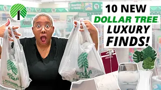 NEW Dollar Tree Finds (Super Cheap but ACTUALLY Look High End!)