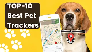 TOP-10 Best Pet Trackers & GPS Dog Collars In 2022 (WE TESTED OVER 30 MODELS)