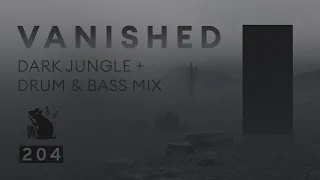 Vanished | Dark Jungle + Drum & Bass Mix