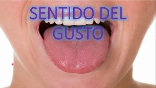 El sentido del gusto