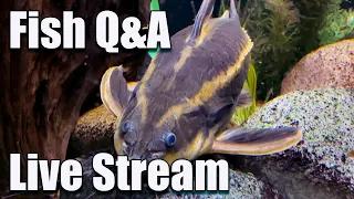 [LIVE]  Be Careful With These Commonly Sold Fish! Plus a Fish Q&A!