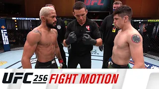 UFC 256: Fight Motion