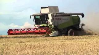 CLAAS LEXION 560 на уборке ячменя.