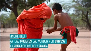 En la Guajira a las mujeres la venden por chivos? Esto nos contó una madre Wayúu