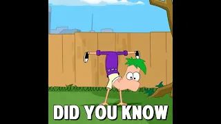 Did you know that in PHINEAS AND FERB...