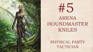 (005) Divinity Original Sin 2 Tactician Mode Physical Party - Arena, Kniles & Houndmaster