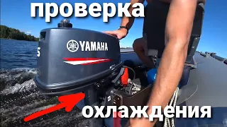 Проверка системы охлаждения на лодочном моторе Yamaha 5с