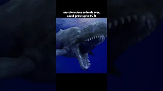 Livyatan Whale Scarier Than The Megalodon irl Moby #shorts