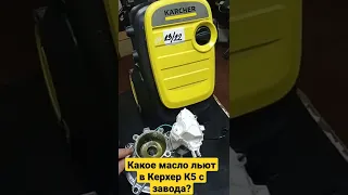 Какое масло льют в Керхер K5 Compact с завода?