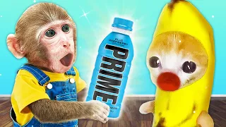 Kiki Monkey and Banana Cat Fight for the Last Prime! 🐱 Baby Banana Cat Compilation | Cat MEME 😿