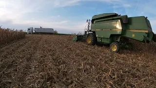 Żniwa kukurydziane 2019! Podsumowanie plonowania. John Deere 2066 + MAN. FarmVlog #11