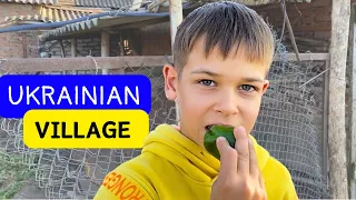 LIFE in UKRAINIAN VILLAGE: our house, garden, and flower garden