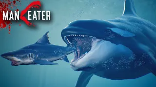 JAWS Vs KILLER WHALE!!! - Maneater Gameplay | Part 4