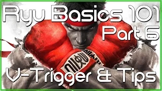 Ryu Basics 101 Guide (Part 6) - V-Trigger and Tips