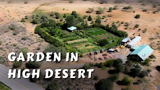 Permaculture Garden In The High Desert