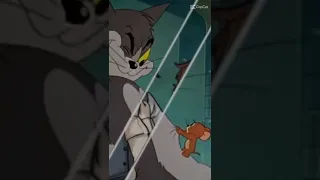 Tom e Jerry edit #shorts #anime