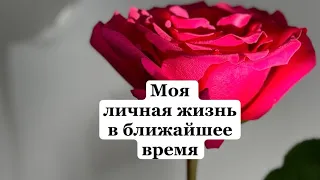 Моя личная жизнь в ближайшее время ❤️ Таро расклад с вариантами💫#таро