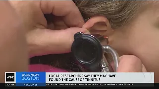 Tinnitus caused by auditory nerve damage, local researchers find