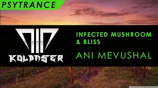 [Psytrance] - Infected Mushroom & Bliss - Ani Mevushal