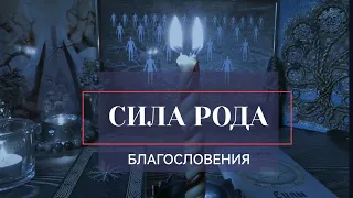 Защита Рода  Родовые структуры, благословение