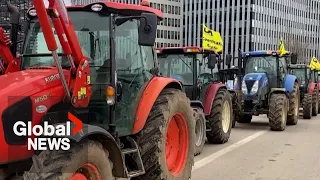 Could Canadian farmers join EU climate change regulation protests?