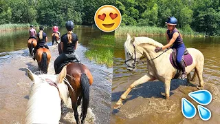 ZWEMMEN met paarden en RENGALOP over de HEIDE! | felinehoi VLOG #587