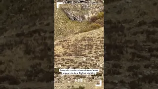 Colorado tourists share video of what appears to be a Bigfoot sighting