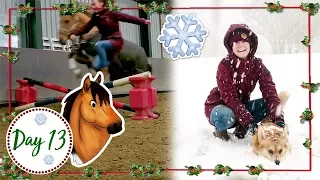 Sneeuwstorm met Dyco & spelen met Marley! | felinehoi VLOGMAS #13