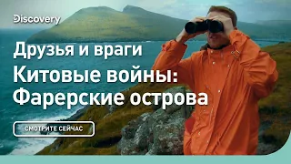 Друзья и враги | Китовые войны | Discovery