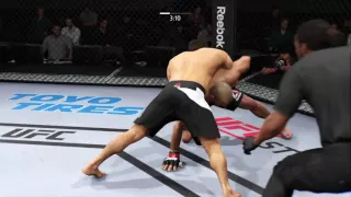 Fake fighter gets bashed