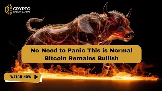 No Need to Panic. Bitcoin Remains Bullish.