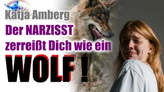 Der Narzisst zerreißt Dich wie ein WOLF!!