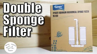 Hygger Double Sponge Filter | Review & Setup