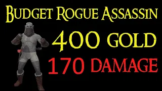 1 minute Budget Rogue Assassin Guide and Gameplay