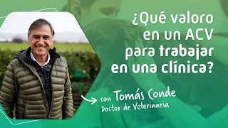 👩‍⚕ Qué valoro en un ACV para TRABAJAR en una CLÍNICA VETERINARIA😺