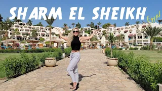 MITCHELLACO | Full Hotel Review of Movenpick Sharm El Sheikh Resort | Must Watch Before Booking!