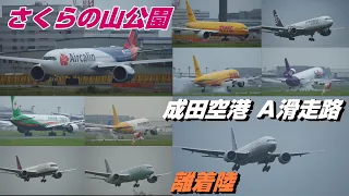 【4K】成田空港 さくらの山公園 Aランに着陸する飛行機10連発