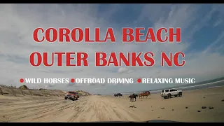 Corolla beach Outer Banks NC| Wild horses| Offroad  driving 4X4 4WD| Relaxing video 4K