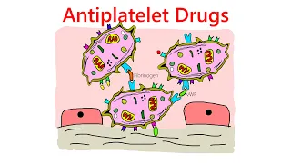 Antiplatelet drugs mechanism of action