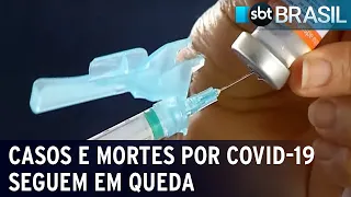 Casos e mortes por covid-19 seguem em queda | SBT Brasil (13/10/22)