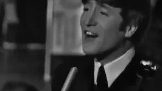 She loves you (fab four vs Beatles)