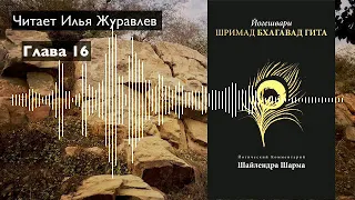 16. Бхагавад Гита с комм. Шри Шайлендры Шармы. Глава 16.