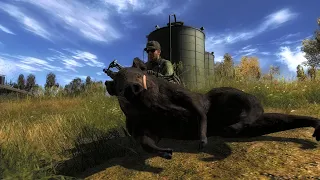 Huntin for the new piebald wild boar the hunter 2020