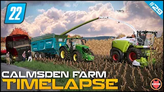 🇬🇧 Harvesting Corn For Chaff Using Class Jaguar 960 ⭐ FS22 Calmsden Farm Timelapse