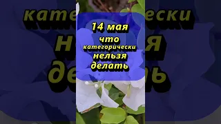 14 мая что категорически нельзя делать