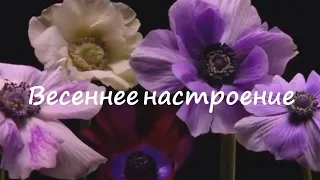 Концерт " Весеннее настроение"2021