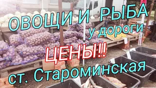 👍Цены на овощи и рыбу в станице Староминская. 12.11.2022г. Виктор Саликов. Переезд на юг.