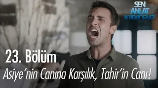 Asiye'nin canına karşılık, Tahir'in canı! - Sen Anlat Karadeniz 23. Bölüm