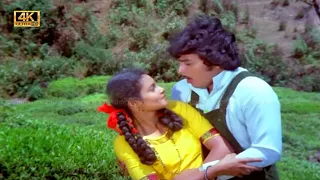 ரோஜாவை தாலாட்டும் தென்றல் பாடல் | Rojavai thalattum thendral song | Spb, Janaki Love song | Karthik.