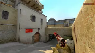 ACE with USP-S